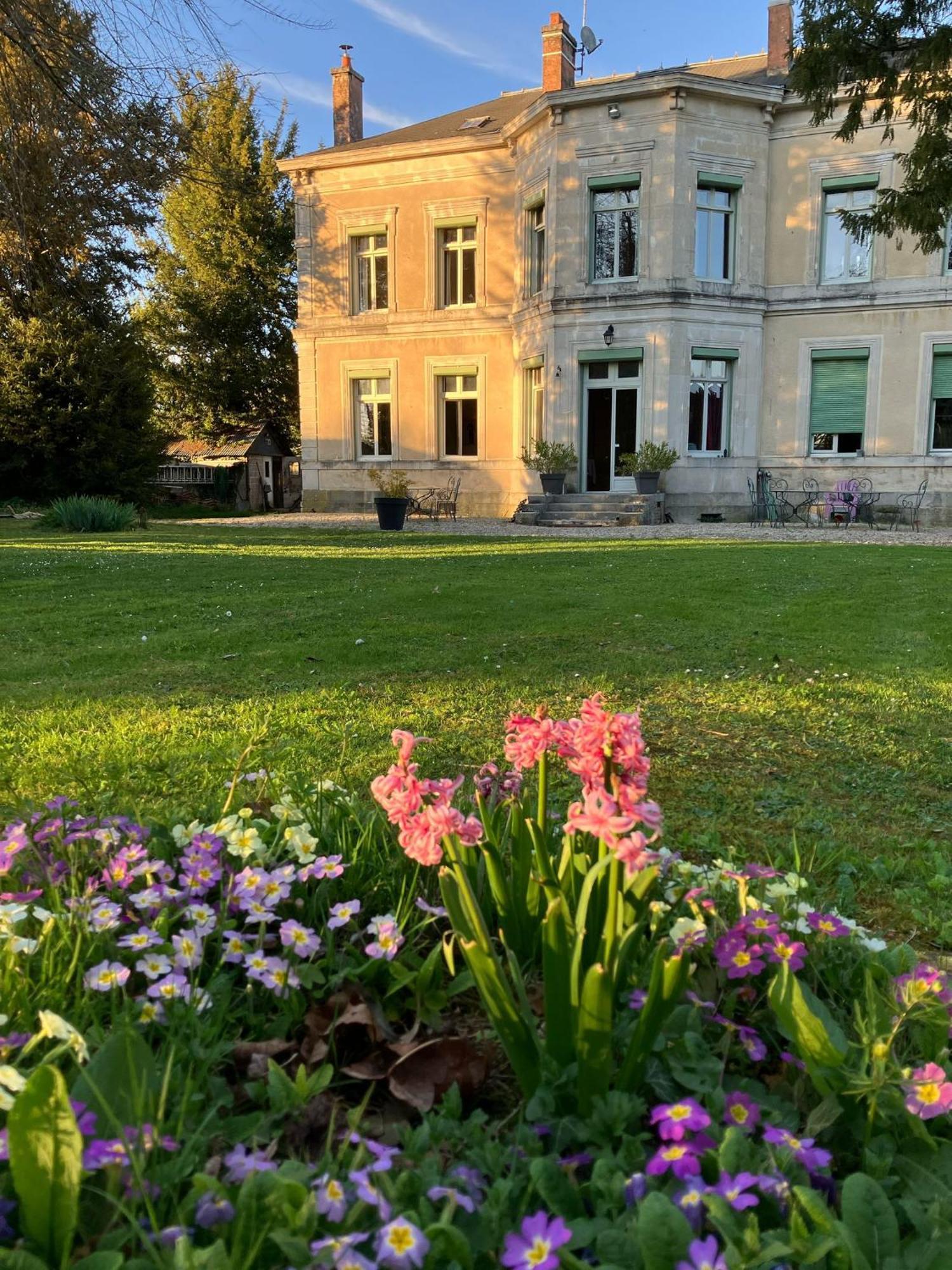 Chateau De Pougy Екстер'єр фото